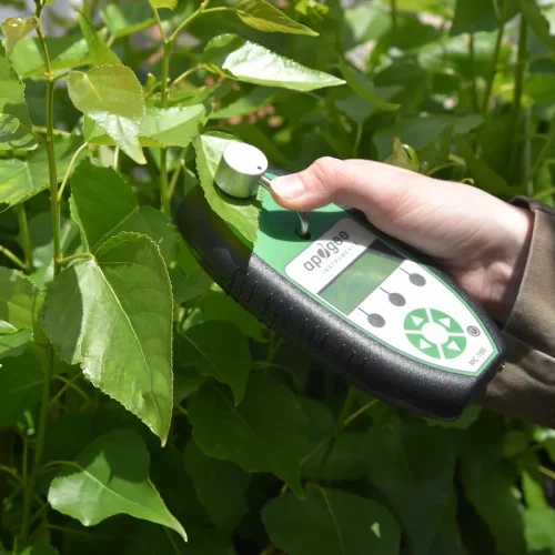 Apogee-Chlorophyll-Meter-MC-100-Application