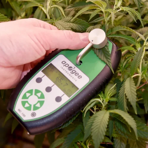 Apogee-Chlorophyll-Meter-MC-100-Cannabis
